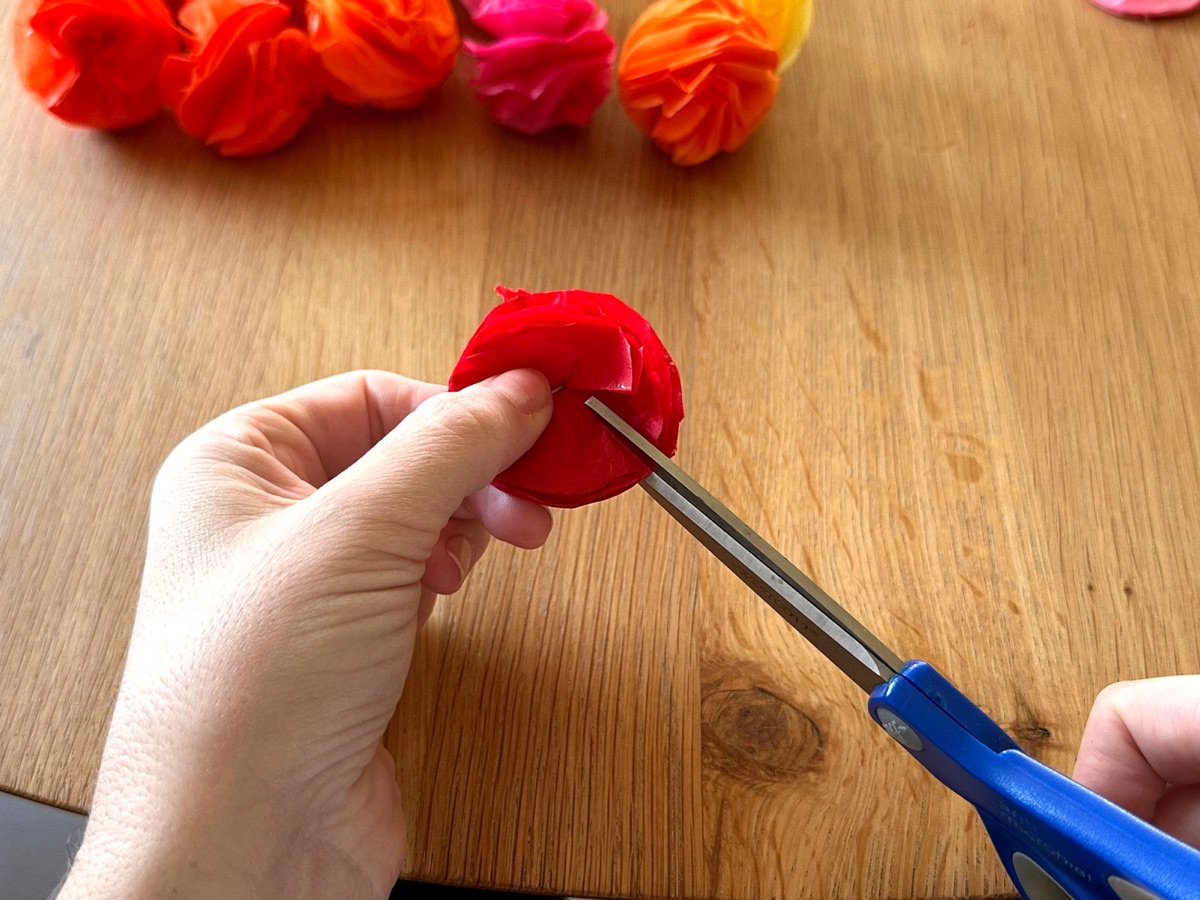 Snipping around the edge of a fluffed tissue paper flower with scissors.